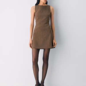 Kerina Wang - ARITZIA BROWN MINI DRESS