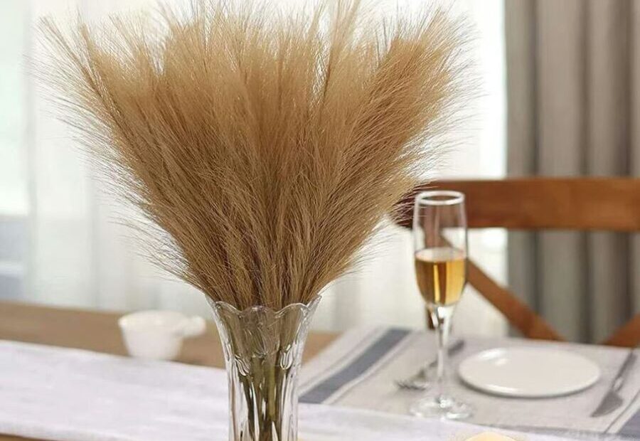 Kerina Wang kerina wayfair mini pampas grass - AUTO-DRAFT
