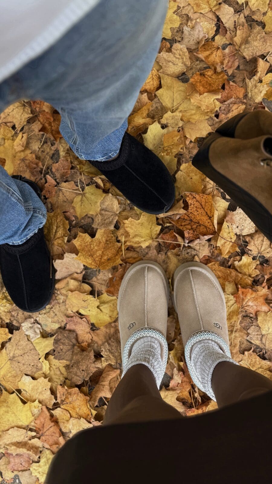 Kerina Wang - fall with my fave human and fave UGG 🍂