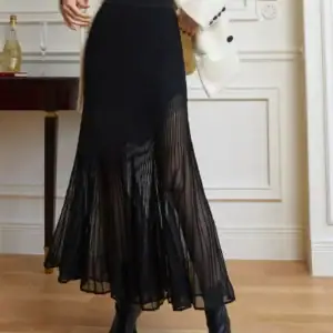 Kerina Wang - Knit Pleated Semi-sheer Maxi Skirt - Commense