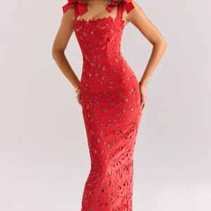 Kerina Wang - Tiff Holly Red Velvet Lace Maxi Dress - House of CB