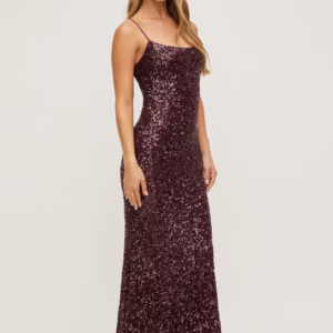 Kerina Wang - Simona Sequin Maxi Dress - Dynamite Clothing